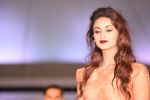 at Archana Kochhar fashion show in Mumbai on 25th Nov 2016 (20)_58396e88a1d3c.jpg