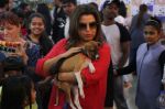 Farah Khan at pet adoption in Mumbai on 27th Nov 2016 (25)_583bdc3282bc9.jpg