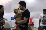 Sooraj Pancholi at pet adoption in Mumbai on 27th Nov 2016 (61)_583bdcac335af.jpg