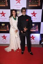 Amitabh Bachchan at 22nd Star Screen Awards 2016 on 4th Dec 2016 (170)_584539389ecc4.JPG