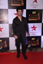Sushant Singh Rajput at 22nd Star Screen Awards 2016 on 4th Dec 2016 (365)_58465ed8226ad.JPG