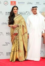 Rekha at DIFF 2016 opening Night Red Carpet on 8th Dec 2016 (76)_584a54ee0f484.JPG