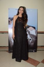 Dipannita Sharma at Sunil Grover_s film Coffe with D promotions on 17th Dec 2016 (5)_58578706f16cf.JPG