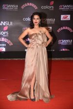 Swara Bhaskar at 14th Sansui COLORS Stardust Awards on 19th Dec 2016 (33)_5858d5d530ad5.JPG