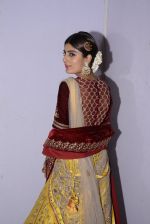Model at Anju Modi Luxury Festive 2017 collection on 29th Dec 2016 (186)_5866065b141ec.JPG