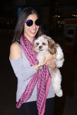 Sophie Chaudhary snapped at airport on 1st Jan 2016 (39)_5869f77fcb878.JPG