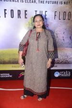 Maya Alagh at Before the floods premiere on 23rd Jan 2017 (24)_5886fcf35921b.JPG