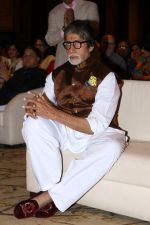 Amitabh Bachchan Attends Vasantotsav 2017 on 26th Feb 2017 (53)_58b3d6dd0c166.JPG