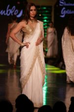 walk the Ramp For Cancer Patients at Fevicol Caring with Style on 26th Feb 2017 (28)_58b3dec7a9aeb.JPG