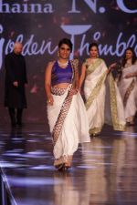 walk the Ramp For Cancer Patients at Fevicol Caring with Style on 26th Feb 2017 (40)_58b3deed0ee6c.JPG