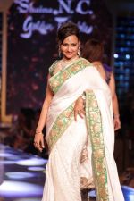 walk the Ramp For Cancer Patients at Fevicol Caring with Style on 26th Feb 2017 (42)_58b3def335ef5.JPG