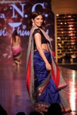 walk the Ramp For Cancer Patients at Fevicol Caring with Style on 26th Feb 2017 (84)_58b3df6d9fbac.JPG
