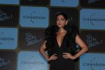 Sonam Kapoor at Chandon_s Party Starter Song with singer Anushka on 2nd March 2017 (28)_58b93da838274.JPG