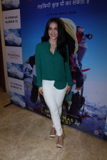 Elli Avram at The Red Carpet Of The Special Screening Of Poorna on 27th March 2017 (10)_58da18e5241ee.JPG