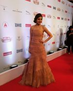 Anushka Sharma On Red Carpet Of Hello Hall Of Fame Awards on 29th March 2017 (10)_58dccec07e0ea.jpg