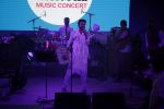 Ayushmann Khurrana, Parineeti Chopra Promotes Meri Pyaari Bindu at HT Music Concert on 7th May 2017 (101)_5912a73d73df9.JPG
