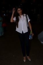 Daisy Shah Spotted At Airport on 24th June 2017 (4)_594f2433b33c3.JPG