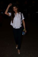 Daisy Shah Spotted At Airport on 24th June 2017 (5)_594f2434ec6b3.JPG