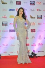 Waluscha De Sousa during Miss India Grand Finale Red Carpet on 24th June 2017 (2)_59508414128d0.JPG