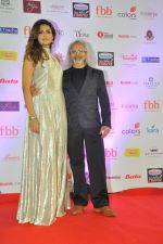 during Miss India Grand Finale Red Carpet on 24th June 2017 (82)_59507d5253e58.JPG