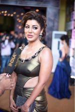 Debina Banerjee at 10th Gold Awards 2017 on 5th July 2017 (32)_595cf6dcb20f1.jpg