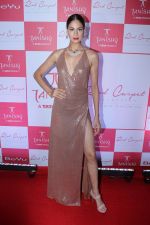  Red Carpet Preview Of Tanishq Collection on 13th July 2017 (80)_5968654b2fa68.JPG