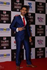 Armaan Malik At Red Carpet Of Big Zee Entertainment Awards 2017 on 29th July 2017 (79)_597d901b5c682.JPG