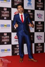 Armaan Malik At Red Carpet Of Big Zee Entertainment Awards 2017 on 29th July 2017 (80)_597d901c33c3a.JPG
