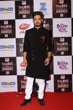 At Red Carpet Of Big Zee Entertainment Awards 2017 on 29th July 2017 (14)_597d9071131df.JPG