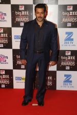 Salman KHan At Red Carpet Of Big Zee Entertainment Awards 2017 on 29th July 2017 (8)_597d928fd03c2.JPG