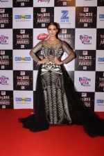 Sana Khan At Red Carpet Of Big Zee Entertainment Awards 2017 on 29th July 2017 (63)_597d92a4963a8.JPG