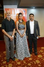 Swapna Patil, A K Bir, Rajesh Mohanty at the Announcement Of Film Antardhwani- Inner Voice on 23rd Aug 2017 (19)_599e7103c62a4.JPG