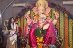 Poonam Pandey Came For Darshan At Andheri Cha Raja on 28th Aug 2017 (17)_59a5062463a9e.JPG