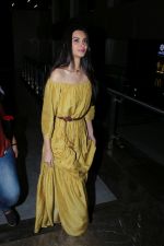 Diana Penty at the Special Screening Of Film Shubh Mangal Savdhan on 31st Aug 2017 (112)_59a9106fc6e46.JPG