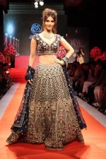 Vaani Kapoor Walks Ramp At IIJW on 24th Sept 2017 (19)_59c8a7b372fa1.jpg