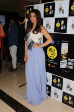 Surveen Chawla At Royal Stag Barrel Large Short Films on 13th Oct 2017 (32)_59e1c640970df.JPG
