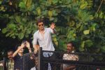 Shah Rukh Khan_s 52nd Birthday Celebration With Fans on 2nd Nov 2017 (301)_59fd80e965630.JPG
