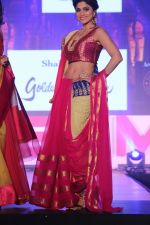 Shamita Shetty at The Fashion Show For Social Cause Called She Matters on 19th Nov 2017 (42)_5a11bc08612dc.JPG