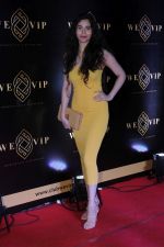 at the Launch Party Of We-VIP The Most Premium Night Club & Lounge on 23rd Nov 2017 (77)_5a17a77a8537f.JPG
