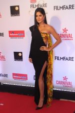 Katrina Kaif at the Red Carpet Of Filmfare Glamour & Style Awards on 1st Dec 2017 (369)_5a2247dd24654.JPG