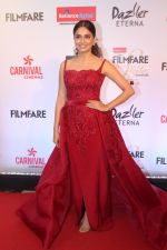 Kriti Kharbanda at the Red Carpet Of Filmfare Glamour & Style Awards on 1st Dec 2017 (318)_5a224833bae84.JPG