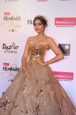 Sonam Kapoor at the Red Carpet Of Filmfare Glamour & Style Awards on 1st Dec 2017 (194)_5a224aa72b561.JPG