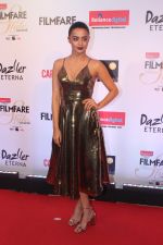 Surveen Chawla at the Red Carpet Of Filmfare Glamour & Style Awards on 1st Dec 2017 (56)_5a224ae768958.JPG