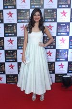 Aahana Kumra at the Red Carpet of Star Screen Awards in Mumbai on 3rd Dec 2017 (6)_5a24ccef35d8d.JPG