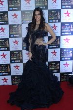 Kriti Sanon at the Red Carpet of Star Screen Awards in Mumbai on 3rd Dec 2017 (37)_5a24cec34e98e.JPG