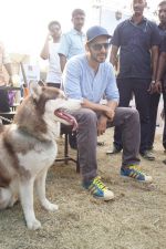Dino Morea At India_s Biggest Pet Festival on 16th Dec 2017 (28)_5a3616c248aac.JPG