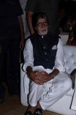 Amitabh Bachchan at the Teaser Launch Of Flim Based On Late Shri Bala Saheb Thackeray on 21st Dec 2017 (38)_5a3e6e40d247f.JPG