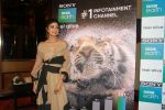 Shilpa Shetty Kundra at Sony BBC Earth, channels 1st anniversary celebration on 25th March 2018 (55)_5abb44c3d47aa.JPG