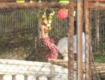 Shahrukh Khan, Abram Celebrate Dahihandi At Mannat In Bandra on 3rd Sept 2018 (7)_5b8e2264d60f4.jpg