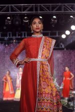 Model walk The Ramp at The Wedding Junction Show on 26th Oct 2018 (207)_5bd459645de3a.JPG